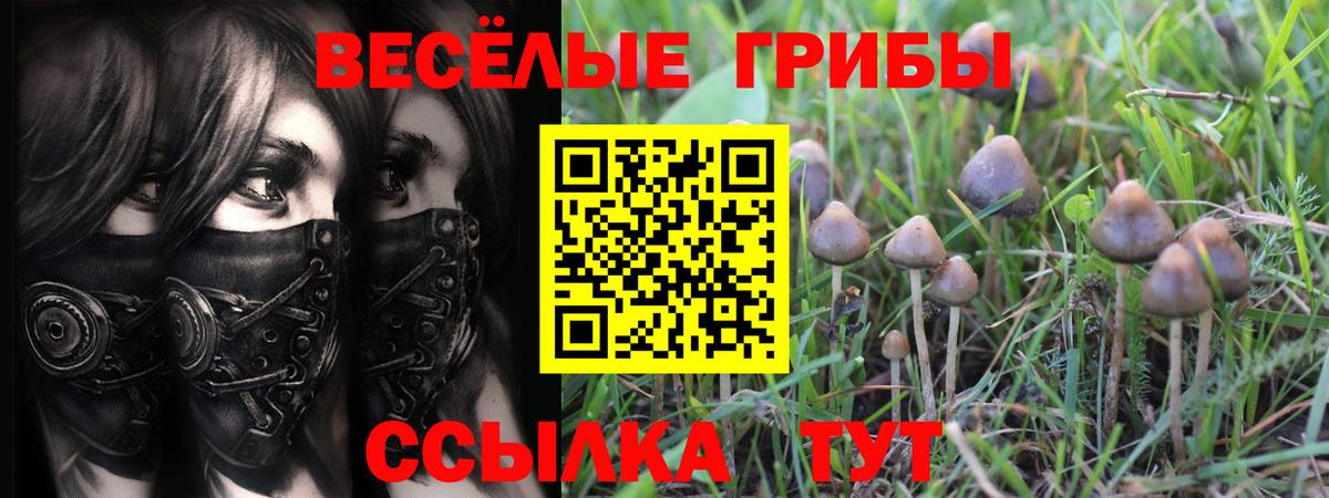 Псилоцибиновые грибы Psilocybine cubensis  Галлюциногенные грибы MAGIC MUSHROOMS  Вход с VPN  Алушта 
