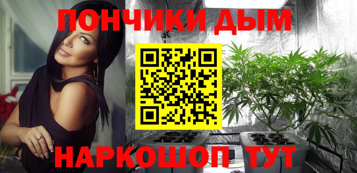 Конопля план  Вход с VPN  Бошки марихуана THC 21%  Алушта 